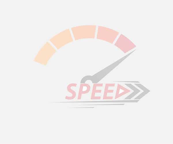 Website Speed Optimization for SEO